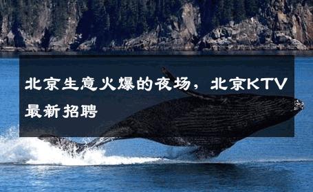 北京生意火爆的夜场，北京KTV最新招聘