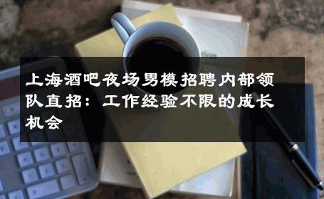 上海酒吧夜场男模招聘内部领队直招：工作经验不限的成长机会 