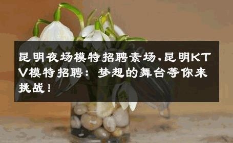 昆明夜场模特招聘素场,昆明KTV模特招聘：梦想的舞台等你来挑战！