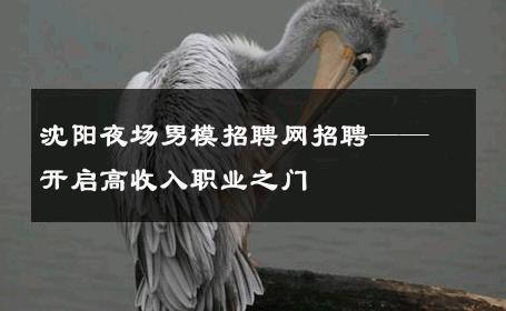 沈阳夜场男模招聘网招聘——开启高收入职业之门 