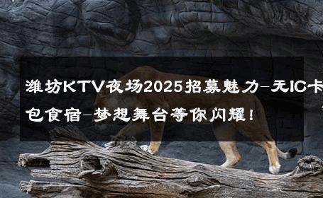 潍坊KTV夜场2025招募魅力-无IC卡包食宿-梦想舞台等你闪耀！ 
