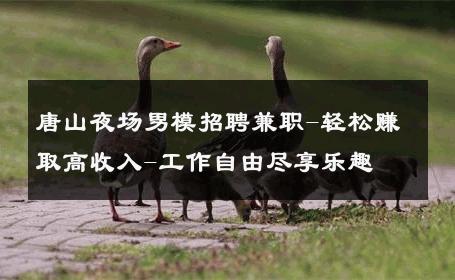 唐山夜场男模招聘兼职-轻松赚取高收入-工作自由尽享乐趣 