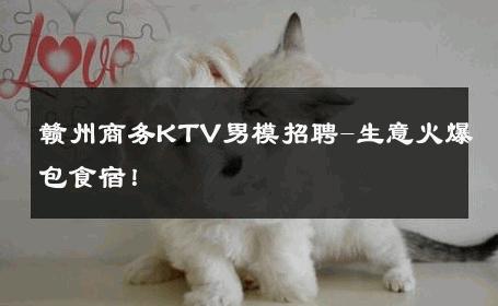 赣州商务KTV男模招聘-生意火爆包食宿！ 