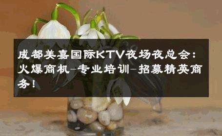 成都美嘉国际KTV夜场夜总会：火爆商机-专业培训-招募精英商务！ 