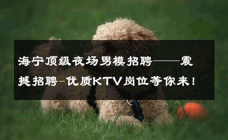 海宁顶级夜场男模招聘——震撼招聘-优质KTV岗位等你来！ 