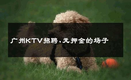 广州KTV招聘,无押金的场子 