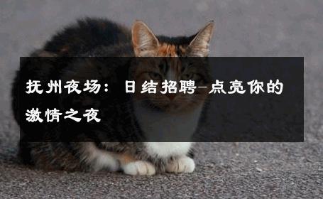 抚州夜场：日结招聘-点亮你的激情之夜 