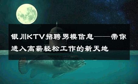 银川KTV招聘男模信息——带你进入高薪轻松工作的新天地 
