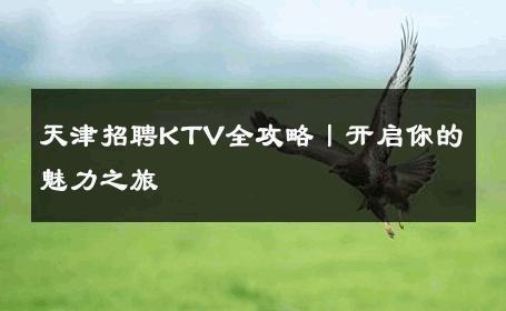 天津招聘KTV全攻略丨开启你的魅力之旅 