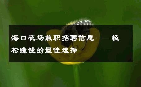 海口夜场兼职招聘信息——轻松赚钱的最佳选择 