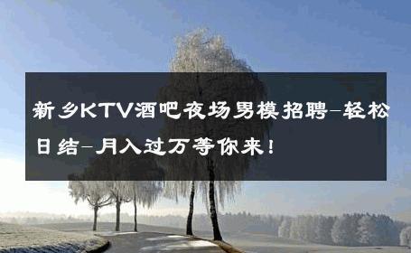 新乡KTV酒吧夜场男模招聘-轻松日结-月入过万等你来！ 