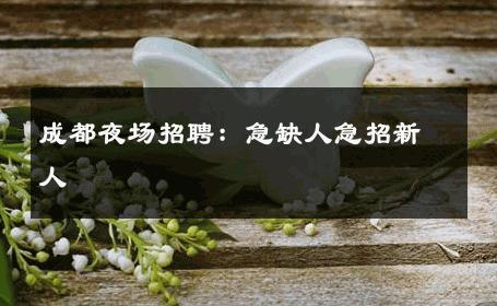 成都夜场招聘：急缺人急招新人 
