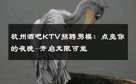 杭州酒吧KTV招聘男模：点亮你的夜晚-开启无限可能 