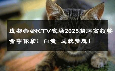 成都帝都KTV夜场2025招聘高额奖金等你拿！自我-成就梦想！ 