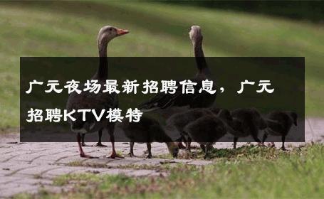 广元夜场最新招聘信息，广元招聘KTV模特