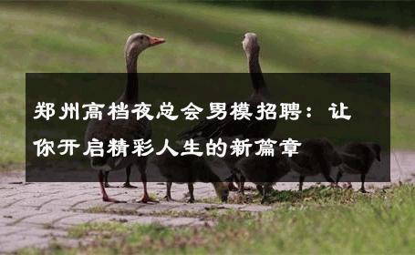 郑州高档夜总会男模招聘：让你开启精彩人生的新篇章 