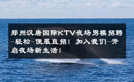 郑州汉唐国际KTV夜场男模招聘-轻松-便服直招！加入我们-开启夜场新生活！ 