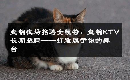 盘锦夜场招聘女模特，盘锦KTV长期招聘——打造属于你的舞台
