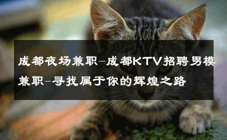 成都夜场兼职-成都KTV招聘男模兼职-寻找属于你的辉煌之路 