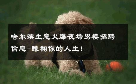 哈尔滨生意火爆夜场男模招聘信息-赚翻你的人生！ 