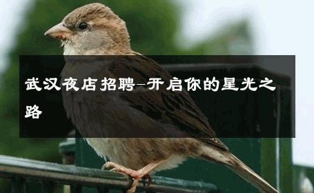 武汉夜店招聘-开启你的星光之路 