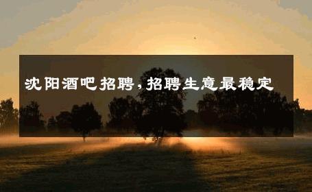 沈阳酒吧招聘,招聘生意最稳定 
