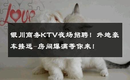 银川商务KTV夜场招聘！外地豪车接送-房间爆满等你来！ 