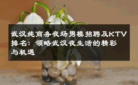 武汉纯商务夜场男模招聘及KTV排名：领略武汉夜生活的精彩与机遇 