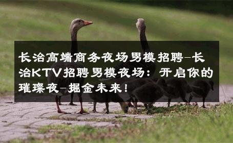 长治高端商务夜场男模招聘-长治KTV招聘男模夜场：开启你的璀璨夜-掘金未来！ 