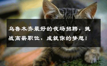 乌鲁木齐最好的夜场招聘，挑战高薪职位，成就你的梦想！