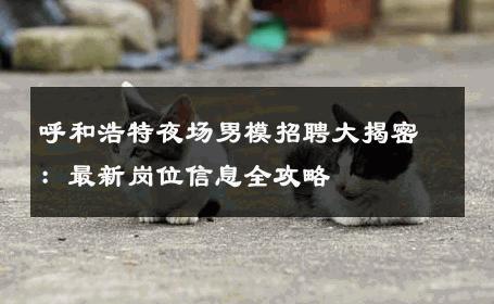 呼和浩特夜场男模招聘大揭密：最新岗位信息全攻略 