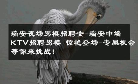 瑞安夜场男模招聘女-瑞安中端KTV招聘男模 惊艳登场-专属机会等你来挑战！ 