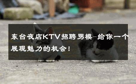 东台夜店KTV招聘男模-给你一个展现魅力的机会！ 