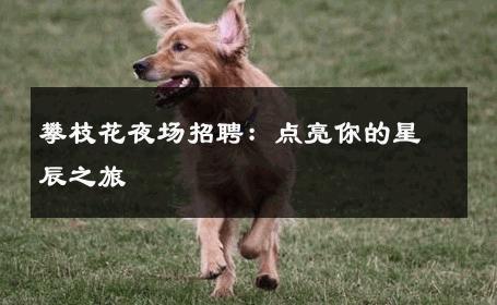 攀枝花夜场招聘：点亮你的星辰之旅 