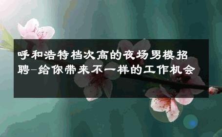 呼和浩特档次高的夜场男模招聘-给你带来不一样的工作机会 