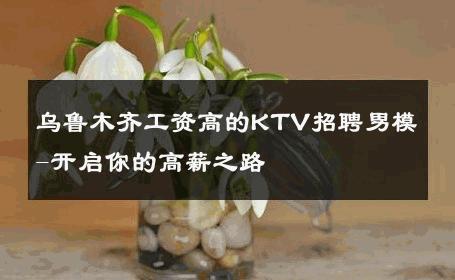 乌鲁木齐工资高的KTV招聘男模-开启你的高薪之路 