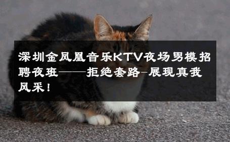 深圳金凤凰音乐KTV夜场男模招聘夜班——拒绝套路-展现真我风采！ 