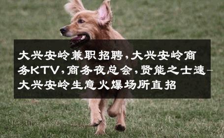 大兴安岭兼职招聘,大兴安岭商务KTV,商务夜总会,贤能之士速-大兴安岭生意火爆场所直招