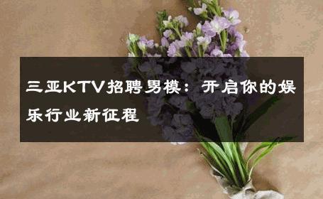 三亚KTV招聘男模：开启你的娱乐行业新征程 