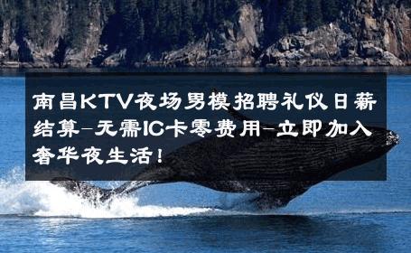 南昌KTV夜场男模招聘礼仪日薪结算-无需IC卡零费用-立即加入奢华夜生活！ 