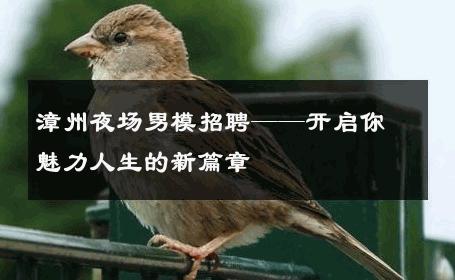 漳州夜场男模招聘——开启你魅力人生的新篇章 