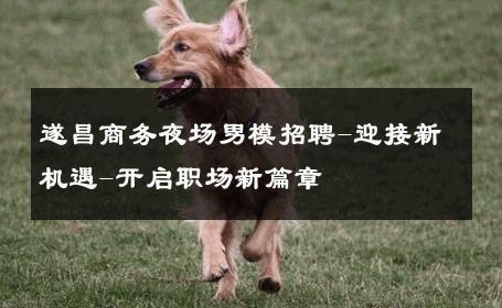 遂昌商务夜场男模招聘-迎接新机遇-开启职场新篇章 