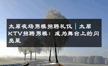 太原夜场男模招聘礼仪｜太原KTV招聘男模：成为舞台上的闪亮星 