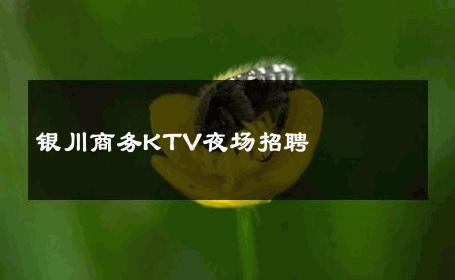 银川商务KTV夜场招聘 
