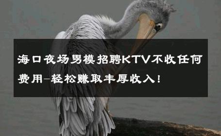 海口夜场男模招聘KTV不收任何费用-轻松赚取丰厚收入！ 