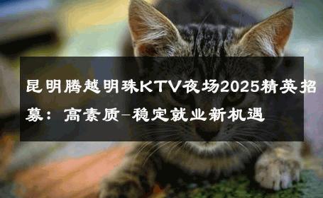 昆明腾越明珠KTV夜场2025精英招募：高素质-稳定就业新机遇 