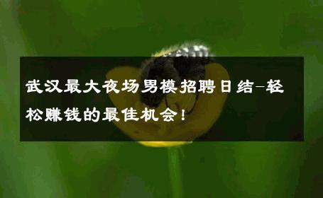 武汉最大夜场男模招聘日结-轻松赚钱的最佳机会！ 