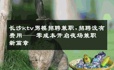 长沙ktv男模招聘兼职,招聘没有费用——零成本开启夜场兼职新篇章 