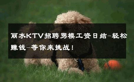 丽水KTV招聘男模工资日结-轻松赚钱-等你来挑战！ 