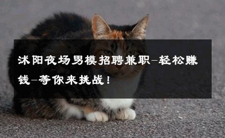 沭阳夜场男模招聘兼职-轻松赚钱-等你来挑战！ 
